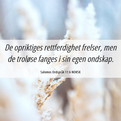 Picture 06 - Salomos Ordspråk 11:6 NORSK - De opriktiges rettferdighet frelser, men de - Bible Verse Picture
