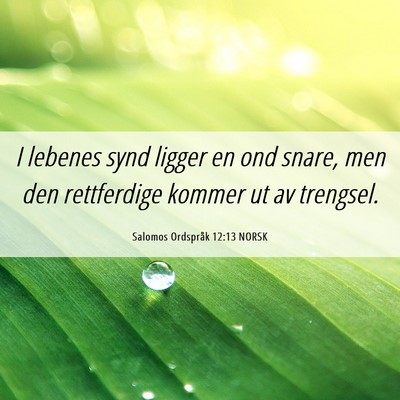 Picture 06 - Salomos Ordspråk 12:13 NORSK - I lebenes synd ligger en ond snare, men den - Bible Verse Picture