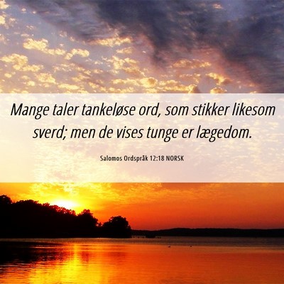 Picture 06 - Salomos Ordspråk 12:18 NORSK - Mange taler tankeløse ord, som stikker likesom - Bible Verse Picture