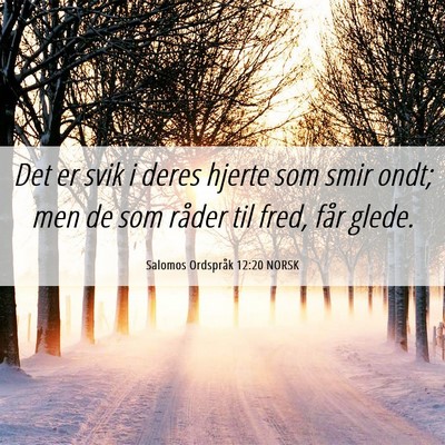 Picture 06 - Salomos Ordspråk 12:20 NORSK - Det er svik i deres hjerte som smir ondt; men de - Bible Verse Picture