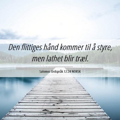 Picture 06 - Salomos Ordspråk 12:24 NORSK - Den flittiges hånd kommer til å styre, men - Bible Verse Picture