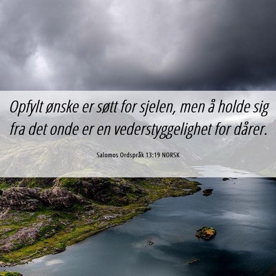 Picture 06 - Salomos Ordspråk 13:19 NORSK - Opfylt ønske er søtt for sjelen, men å holde - Bible Verse Picture