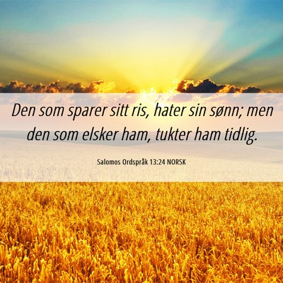 Picture 06 - Salomos Ordspråk 13:24 NORSK - Den som sparer sitt ris, hater sin sønn; men den - Bible Verse Picture