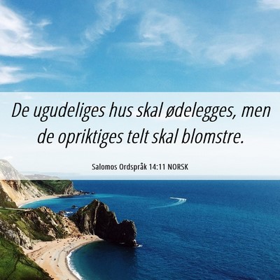 Picture 06 - Salomos Ordspråk 14:11 NORSK - De ugudeliges hus skal ødelegges, men de - Bible Verse Picture