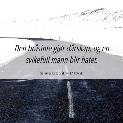 Picture 06 - Salomos Ordspråk 14:17 NORSK - Den bråsinte gjør dårskap, og en svikefull - Bible Verse Picture