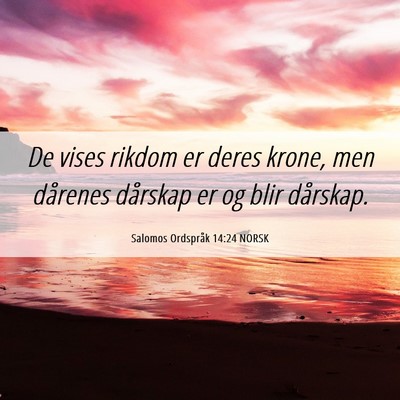 Picture 06 - Salomos Ordspråk 14:24 NORSK - De vises rikdom er deres krone, men dårenes - Bible Verse Picture