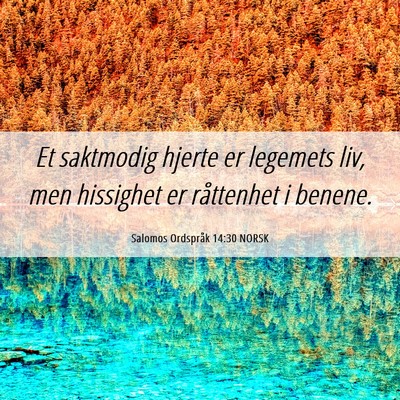 Picture 06 - Salomos Ordspråk 14:30 NORSK - Et saktmodig hjerte er legemets liv, men - Bible Verse Picture