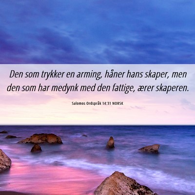 Picture 06 - Salomos Ordspråk 14:31 NORSK - Den som trykker en arming, håner hans skaper, - Bible Verse Picture