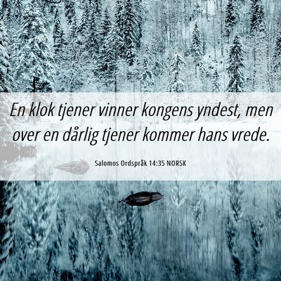Picture 06 - Salomos Ordspråk 14:35 NORSK - En klok tjener vinner kongens yndest, men over en - Bible Verse Picture