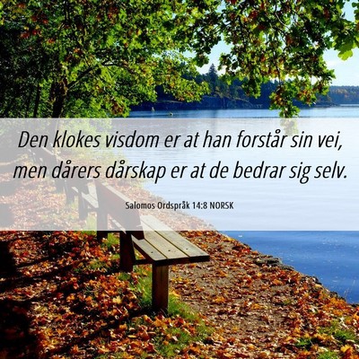 Picture 06 - Salomos Ordspråk 14:8 NORSK - Den klokes visdom er at han forstår sin vei, men - Bible Verse Picture