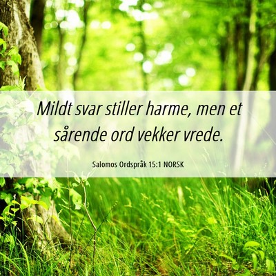 Picture 06 - Salomos Ordspråk 15:1 NORSK - Mildt svar stiller harme, men et sårende ord - Bible Verse Picture