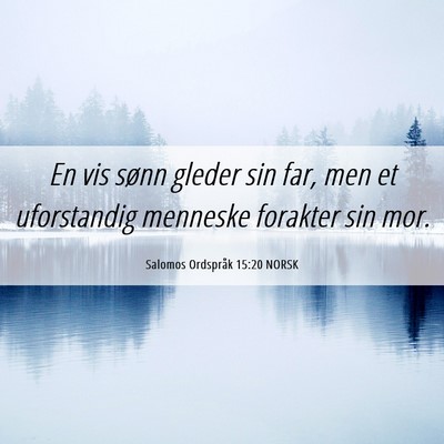 Picture 06 - Salomos Ordspråk 15:20 NORSK - En vis sønn gleder sin far, men et uforstandig - Bible Verse Picture