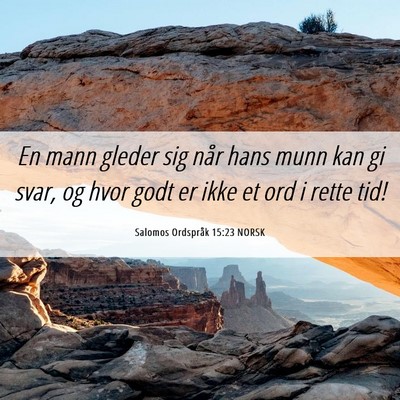 Picture 06 - Salomos Ordspråk 15:23 NORSK - En mann gleder sig når hans munn kan gi svar, og - Bible Verse Picture
