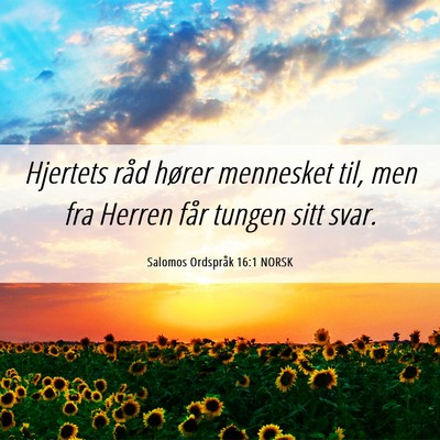 Picture 06 - Salomos Ordspråk 16:1 NORSK - Hjertets råd hører mennesket til, men fra - Bible Verse Picture