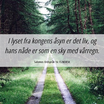 Picture 06 - Salomos Ordspråk 16:15 NORSK - I lyset fra kongens åsyn er det liv, og hans - Bible Verse Picture