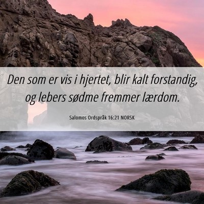Picture 06 - Salomos Ordspråk 16:21 NORSK - Den som er vis i hjertet, blir kalt forstandig, - Bible Verse Picture