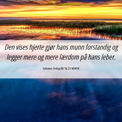 Picture 06 - Salomos Ordspråk 16:23 NORSK - Den vises hjerte gjør hans munn forstandig og - Bible Verse Picture