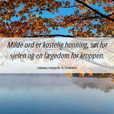 Picture 06 - Salomos Ordspråk 16:24 NORSK - Milde ord er kostelig honning, søt for sjelen og - Bible Verse Picture