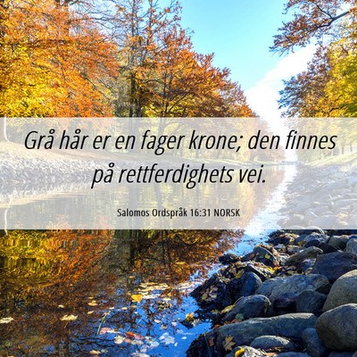 Picture 06 - Salomos Ordspråk 16:31 NORSK - Grå hår er en fager krone; den finnes på - Bible Verse Picture