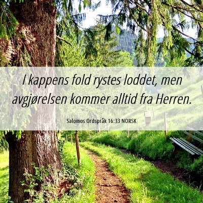 Picture 06 - Salomos Ordspråk 16:33 NORSK - I kappens fold rystes loddet, men avgjørelsen - Bible Verse Picture