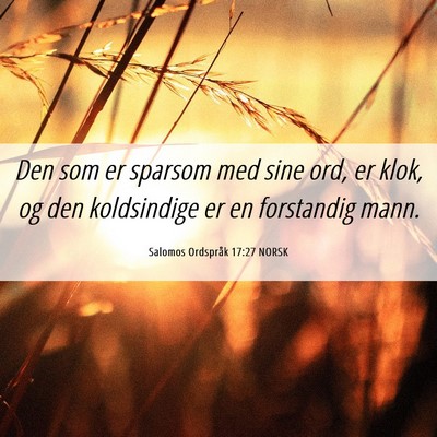 Picture 06 - Salomos Ordspråk 17:27 NORSK - Den som er sparsom med sine ord, er klok, og den - Bible Verse Picture