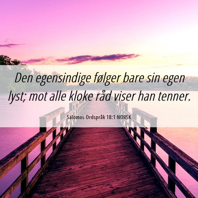 Picture 06 - Salomos Ordspråk 18:1 NORSK - Den egensindige følger bare sin egen lyst; mot - Bible Verse Picture