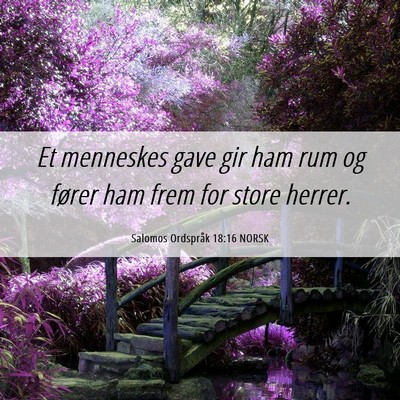 Picture 06 - Salomos Ordspråk 18:16 NORSK - Et menneskes gave gir ham rum og fører ham frem - Bible Verse Picture