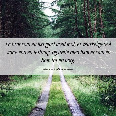 Picture 06 - Salomos Ordspråk 18:19 NORSK - En bror som en har gjort urett mot, er - Bible Verse Picture