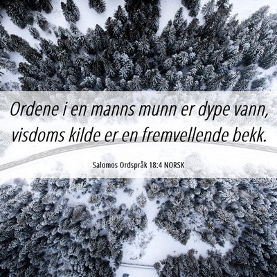 Picture 06 - Salomos Ordspråk 18:4 NORSK - Ordene i en manns munn er dype vann, visdoms - Bible Verse Picture