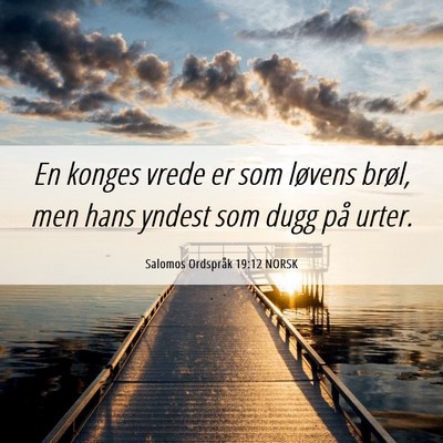 Picture 06 - Salomos Ordspråk 19:12 NORSK - En konges vrede er som løvens brøl, men hans - Bible Verse Picture