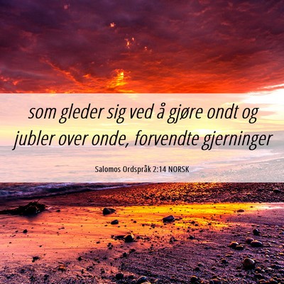Picture 06 - Salomos Ordspråk 2:14 NORSK - som gleder sig ved å gjøre ondt og jubler over - Bible Verse Picture