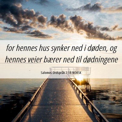 Picture 06 - Salomos Ordspråk 2:18 NORSK - for hennes hus synker ned i døden, og hennes - Bible Verse Picture