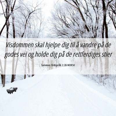 Picture 06 - Salomos Ordspråk 2:20 NORSK - Visdommen skal hjelpe dig til å vandre på de - Bible Verse Picture