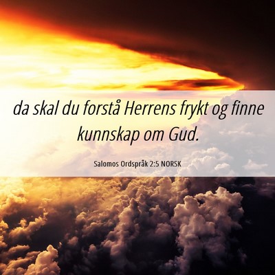 Picture 06 - Salomos Ordspråk 2:5 NORSK - da skal du forstå Herrens frykt og finne - Bible Verse Picture