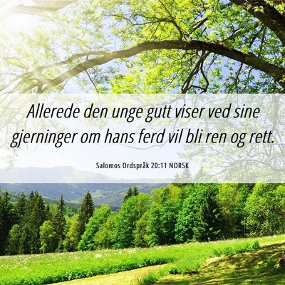 Picture 06 - Salomos Ordspråk 20:11 NORSK - Allerede den unge gutt viser ved sine gjerninger - Bible Verse Picture