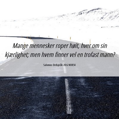 Picture 06 - Salomos Ordspråk 20:6 NORSK - Mange mennesker roper høit, hver om sin - Bible Verse Picture