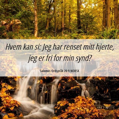 Picture 06 - Salomos Ordspråk 20:9 NORSK - Hvem kan si: Jeg har renset mitt hjerte, jeg er - Bible Verse Picture