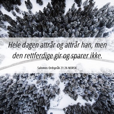 Picture 06 - Salomos Ordspråk 21:26 NORSK - Hele dagen attrår og attrår han, men den - Bible Verse Picture