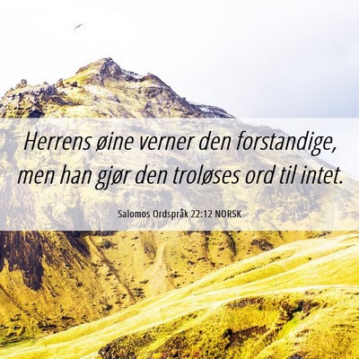 Picture 06 - Salomos Ordspråk 22:12 NORSK - Herrens øine verner den forstandige, men han - Bible Verse Picture