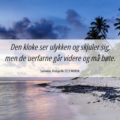 Picture 06 - Salomos Ordspråk 22:3 NORSK - Den kloke ser ulykken og skjuler sig, men de - Bible Verse Picture