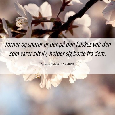 Picture 06 - Salomos Ordspråk 22:5 NORSK - Torner og snarer er der på den falskes vei; den - Bible Verse Picture