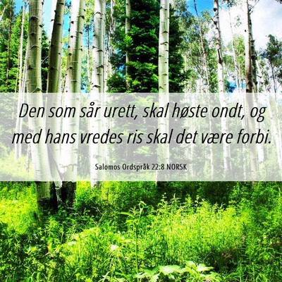Picture 06 - Salomos Ordspråk 22:8 NORSK - Den som sår urett, skal høste ondt, og med hans - Bible Verse Picture
