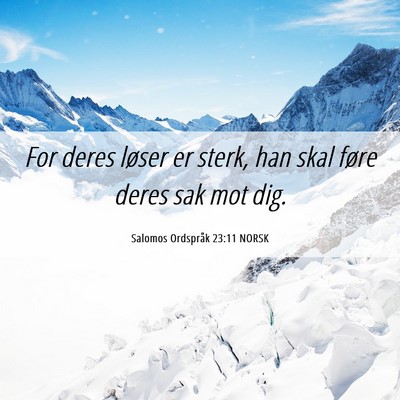 Picture 06 - Salomos Ordspråk 23:11 NORSK - For deres løser er sterk, han skal føre deres - Bible Verse Picture