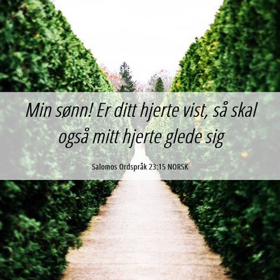 Picture 06 - Salomos Ordspråk 23:15 NORSK - Min sønn! Er ditt hjerte vist, så skal også - Bible Verse Picture