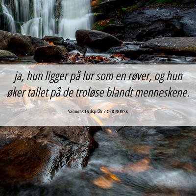 Picture 06 - Salomos Ordspråk 23:28 NORSK - ja, hun ligger på lur som en røver, og hun - Bible Verse Picture