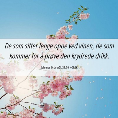 Picture 06 - Salomos Ordspråk 23:30 NORSK - De som sitter lenge oppe ved vinen, de som kommer - Bible Verse Picture