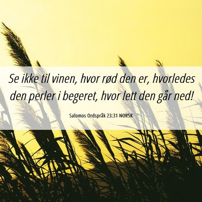 Picture 06 - Salomos Ordspråk 23:31 NORSK - Se ikke til vinen, hvor rød den er, hvorledes - Bible Verse Picture