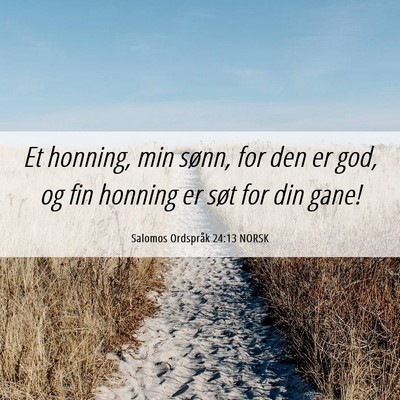 Picture 06 - Salomos Ordspråk 24:13 NORSK - Et honning, min sønn, for den er god, og fin - Bible Verse Picture