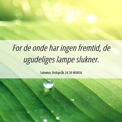 Picture 06 - Salomos Ordspråk 24:20 NORSK - For de onde har ingen fremtid, de ugudeliges - Bible Verse Picture