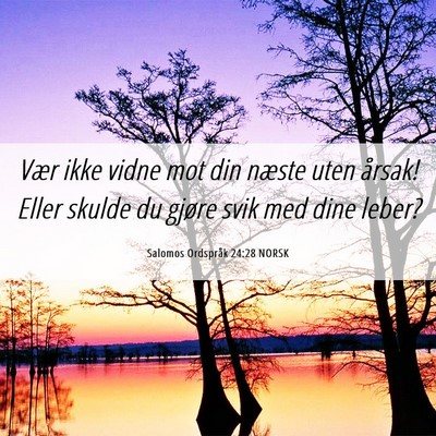 Picture 06 - Salomos Ordspråk 24:28 NORSK - Vær ikke vidne mot din næste uten årsak! Eller - Bible Verse Picture
